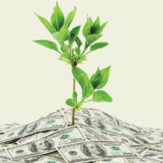 Wealth – Keep it Simple